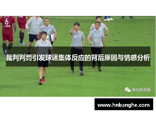 裁判判罚引发球迷集体反应的背后原因与情感分析